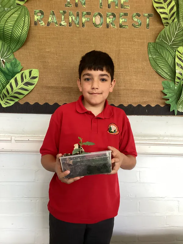 Beech Class Summer Homework Showcase - image 18
