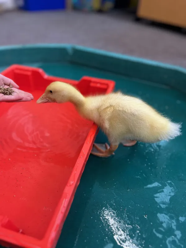 Gallery - created at 2025-06-27 11:32:16 - image 4