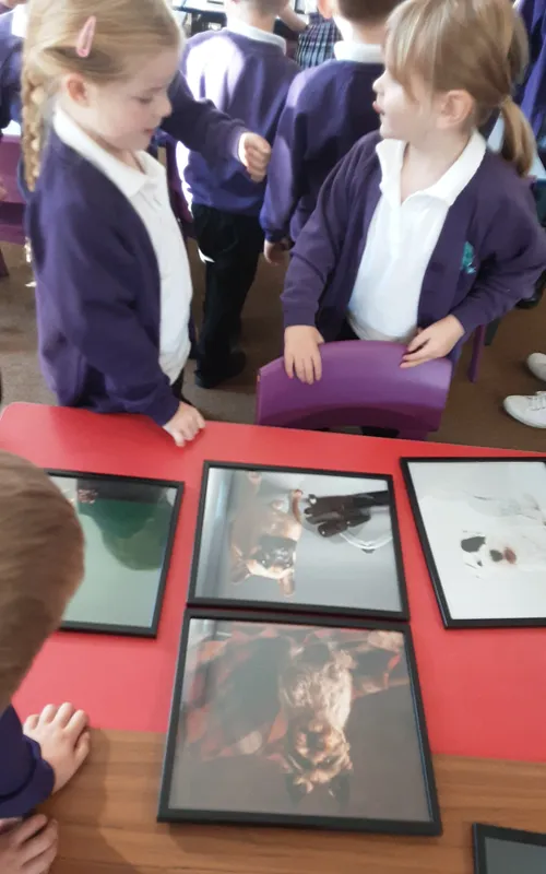 Gallery - created at 2024-09-26 10:17:01 - image 6 Gallery - created at 2024-09-26 10:17:01 - image 6