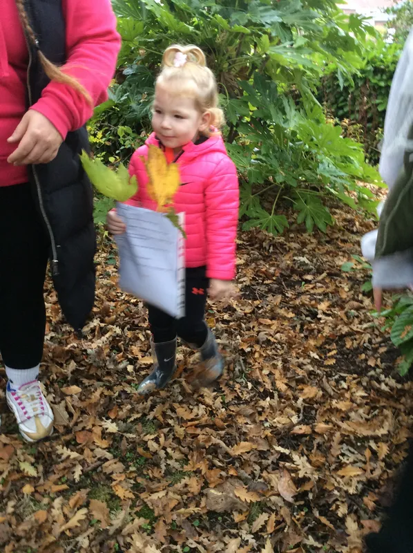 Gallery - created at 2024-11-05 15:27:50 - image 60 Gallery - created at 2024-11-05 15:27:50 - image 60