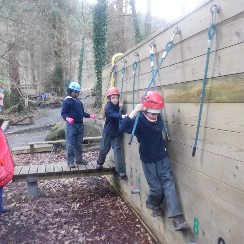 Gallery - created at 2025-02-27 19:57:56 - image 9