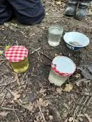 Forest School 65 - image 1 Forest School 65 - image 1