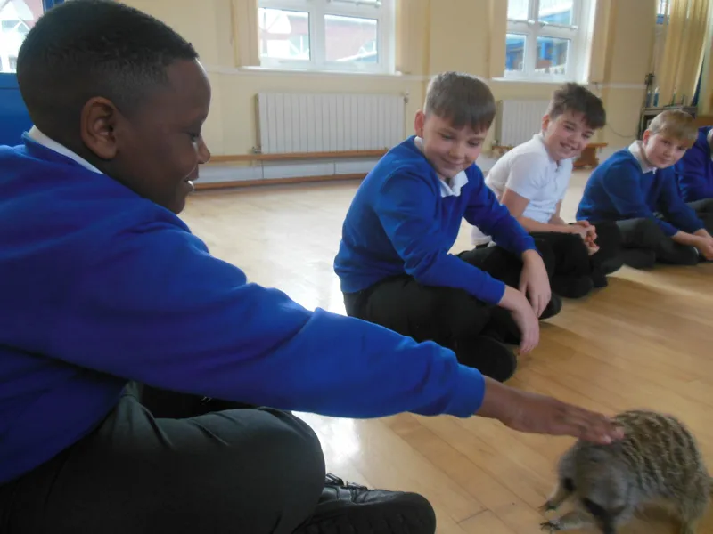 Y6 Reptile Rendezvous - image 22