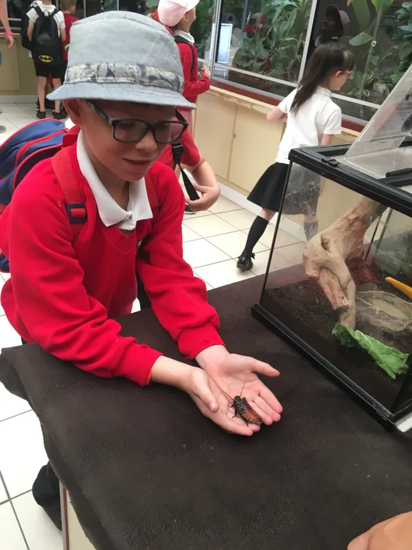 Gallery - created at 2019-07-19 12:20:49 - image 3