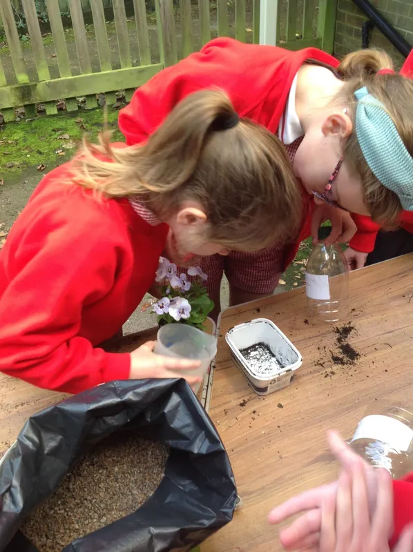 Gallery - created at 2023-10-05 15:59:34 - image 5 Gallery - created at 2023-10-05 15:59:34 - image 5