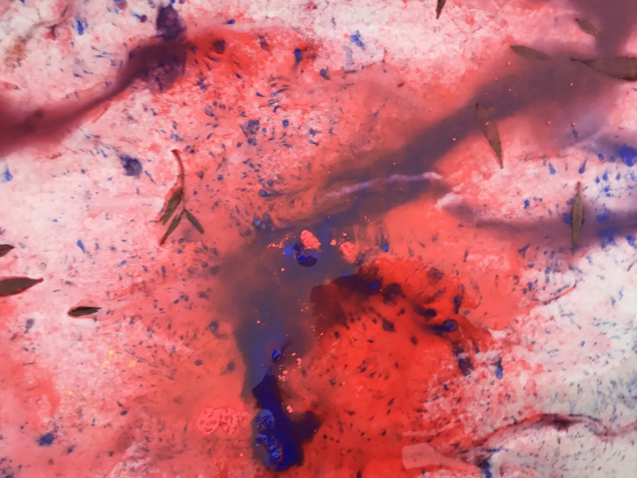 Gallery - created at 2022-11-15 10:36:24 - image 5 Gallery - created at 2022-11-15 10:36:24 - image 5