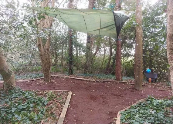 Outdoor Areas - image 18