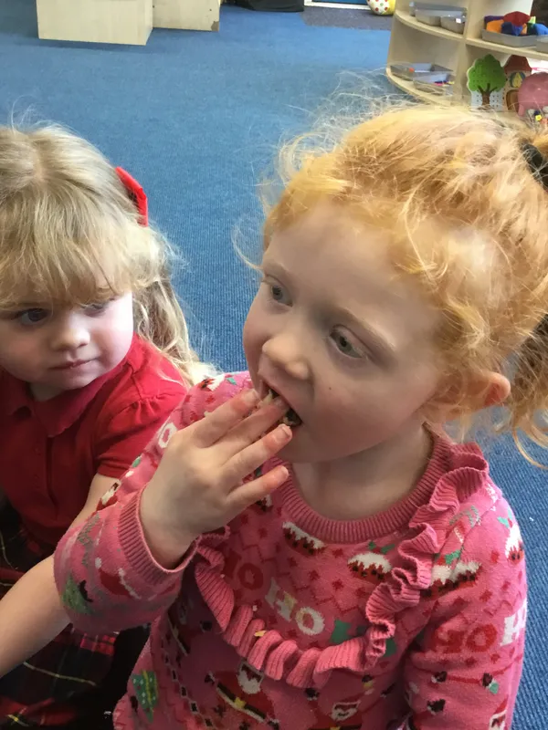 Gallery - created at 2021-11-26 15:51:53 - image 1 Gallery - created at 2021-11-26 15:51:53 - image 1