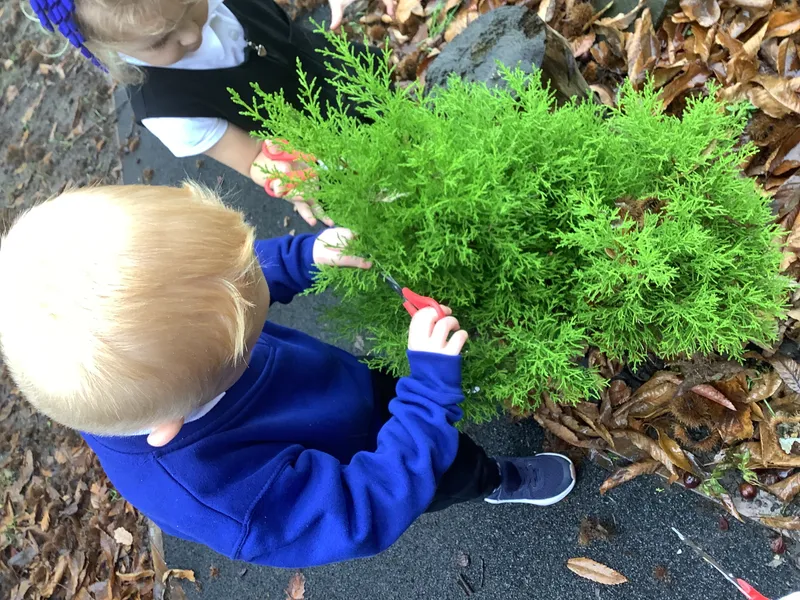 Gallery - created at 2024-02-07 16:37:04 - image 5