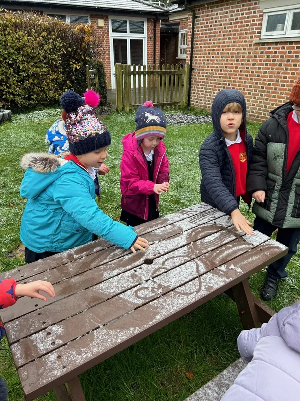 Gallery - created at 2024-11-22 07:00:31 - image 4