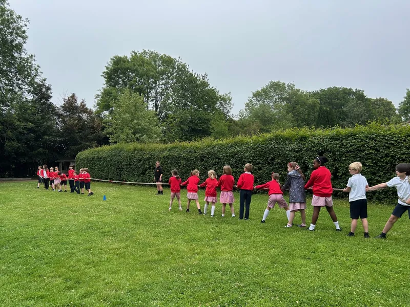 Gallery - created at 2025-06-16 18:39:50 - image 4