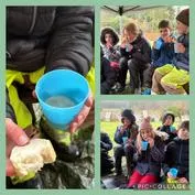 Forest School 17 - image 2 Forest School 17 - image 2