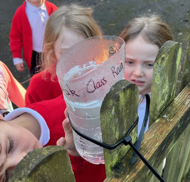 Gallery - created at 2024-11-28 18:12:19 - image 3