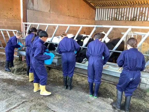 Farm Trip 25 - Gallery 2 - image 15