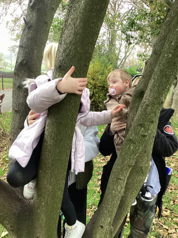 Gallery - created at 2024-11-08 10:10:59 - image 59 Gallery - created at 2024-11-08 10:10:59 - image 59