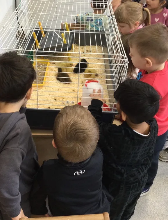 Life Cycles - image 9