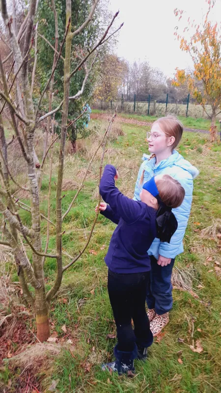 Forest School sessions - image 21 Forest School sessions - image 21