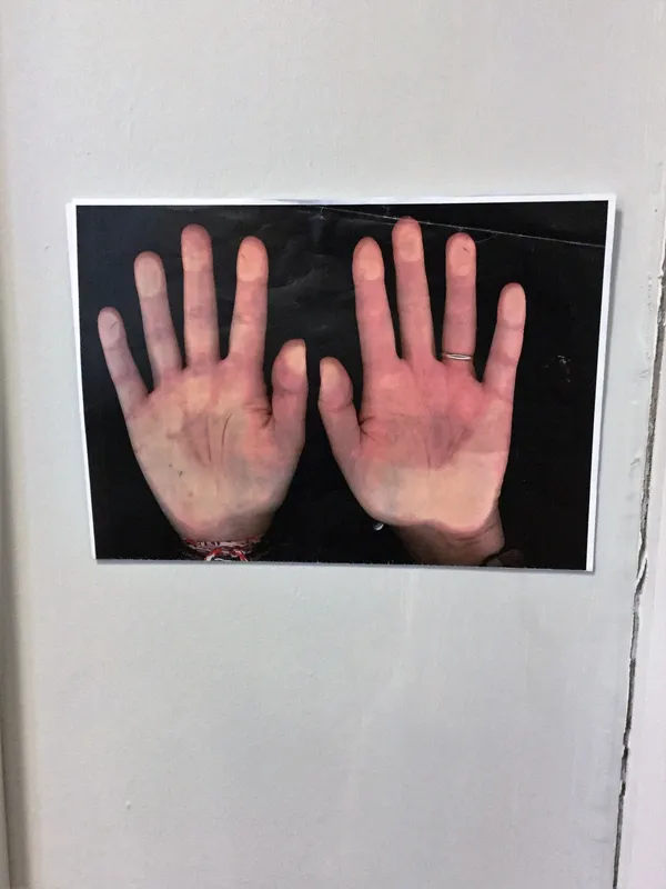 Gallery - created at 2019-12-02 12:50:56 - image 4