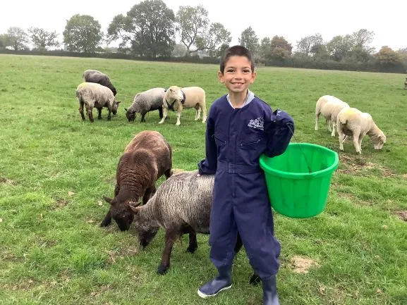 Farm 2025 - Gallery 3 - image 20