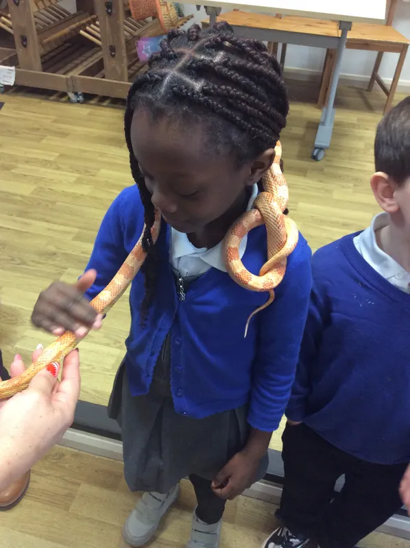 Gallery - created at 2024-03-05 13:52:56 - image 4 Gallery - created at 2024-03-05 13:52:56 - image 4