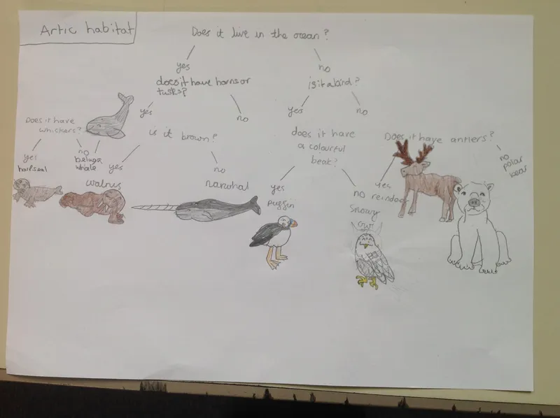 Gallery - created at 2023-07-14 18:55:13 - image 1 Gallery - created at 2023-07-14 18:55:13 - image 1