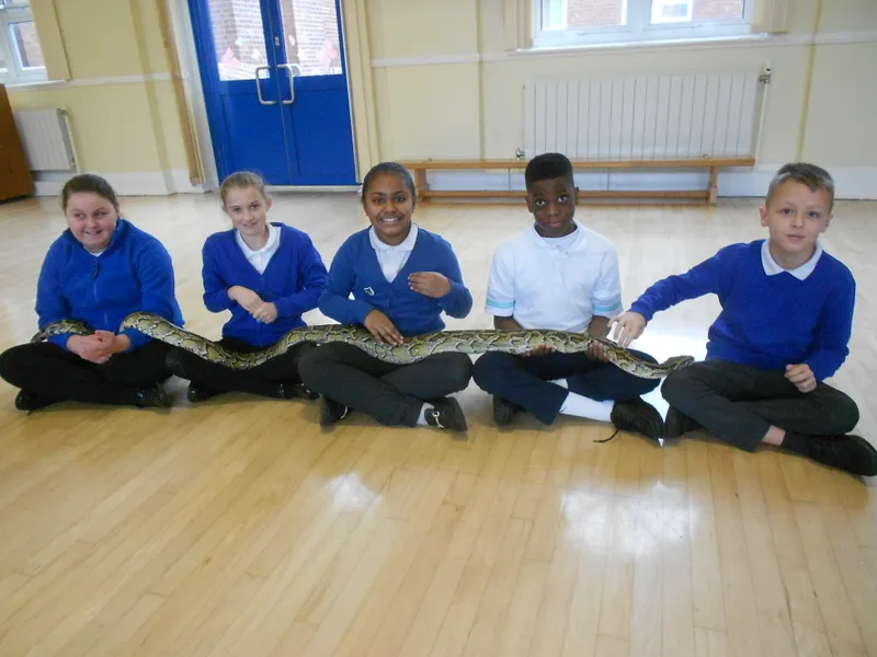 Y6 Reptile Rendezvous - image 66