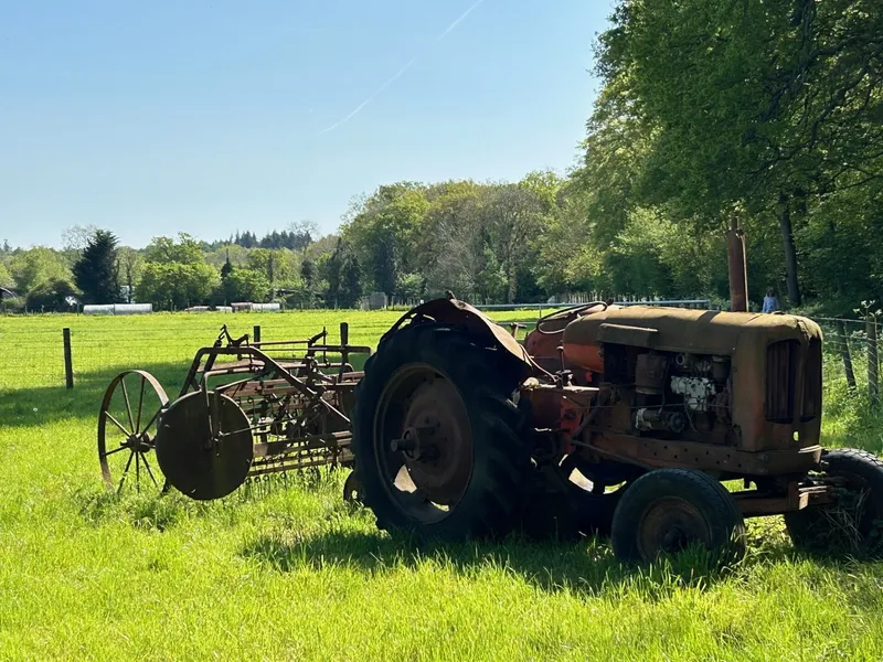 Gallery - created at 2024-05-10 11:40:23 - image 9