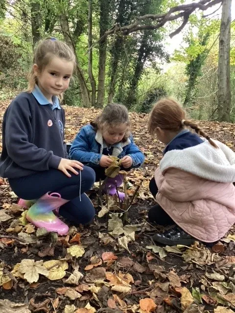 P3 Hideout for a Superhero - image 3