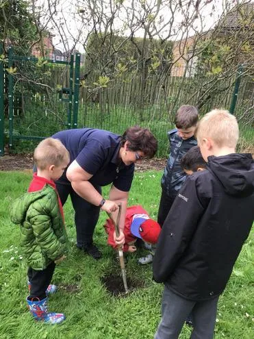 Gallery - created at 2024-12-05 13:35:53 - image 1 Gallery - created at 2024-12-05 13:35:53 - image 1