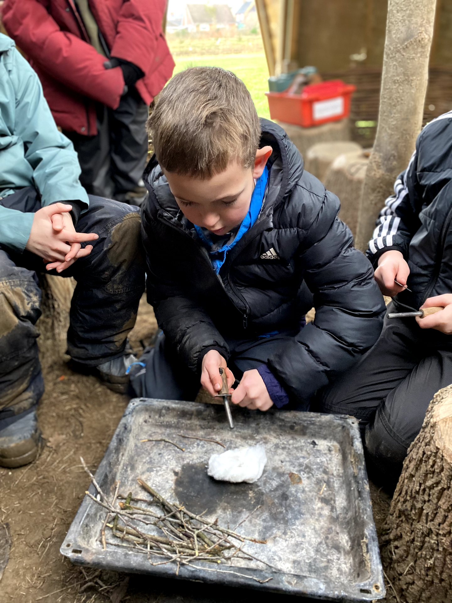 This week in TB - WC 12/01/26