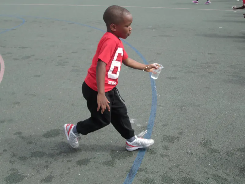 Gallery - image 3
