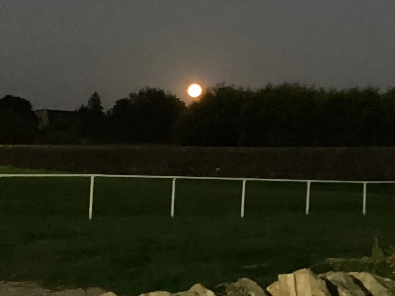 Gallery - created at 2024-09-18 20:08:11 - image 1 Gallery - created at 2024-09-18 20:08:11 - image 1