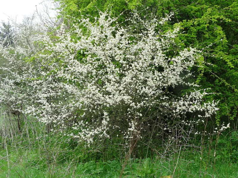 Gallery - created at 2019-05-10 15:17:23 - image 15 Gallery - created at 2019-05-10 15:17:23 - image 15