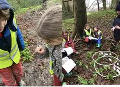 Forest School 78 - image 3 Forest School 78 - image 3