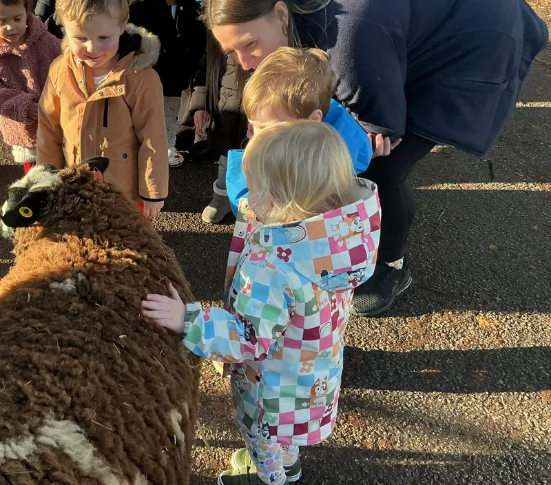 Stella ‘Farm on wheels’ part 2  - image 11