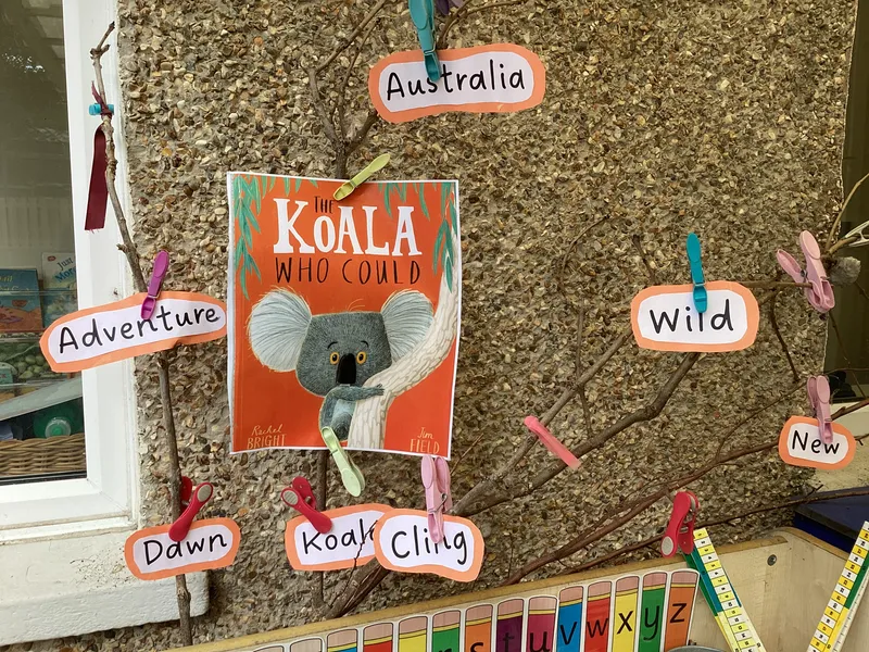 The koala who could - image 1