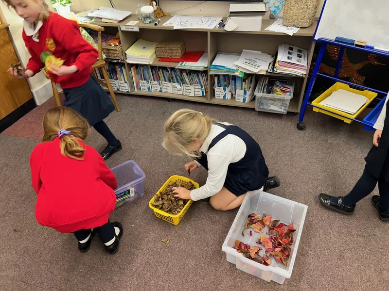 Gallery - created at 2024-11-15 12:36:22 - image 9