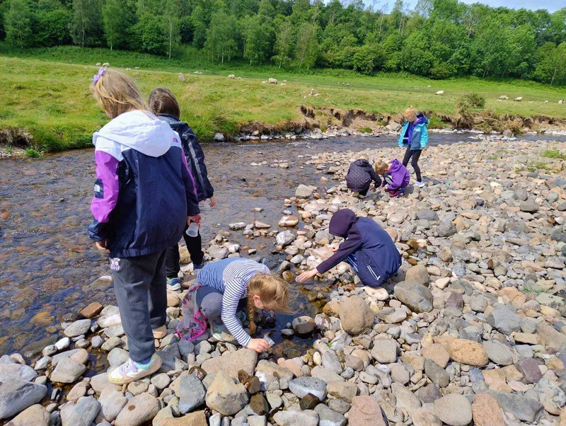 Gallery - created at 2025-06-06 10:37:45 - image 6 Gallery - created at 2025-06-06 10:37:45 - image 6