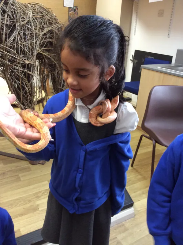 Gallery - created at 2024-02-26 17:15:57 - image 63 Gallery - created at 2024-02-26 17:15:57 - image 63