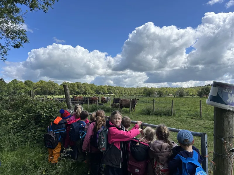 Blue Tin Visit  - image 16