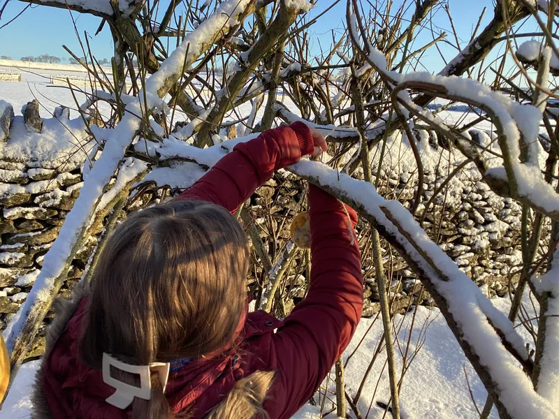 Gallery - created at 2025-02-25 16:17:58 - image 13