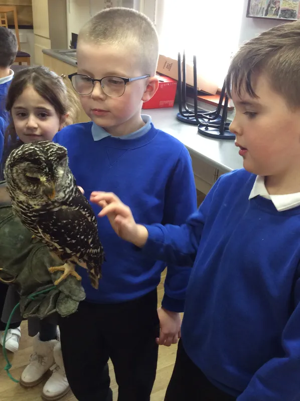 Gallery - created at 2024-02-26 17:15:57 - image 32 Gallery - created at 2024-02-26 17:15:57 - image 32