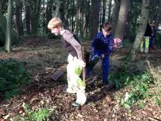 Forest School 144 - image 2 Forest School 144 - image 2
