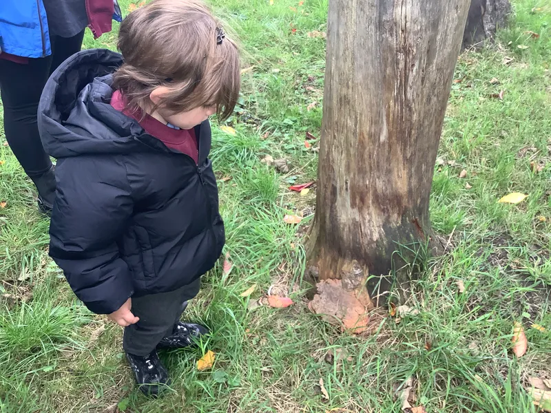 Nursery RE Creation - image 21 Nursery RE Creation - image 21