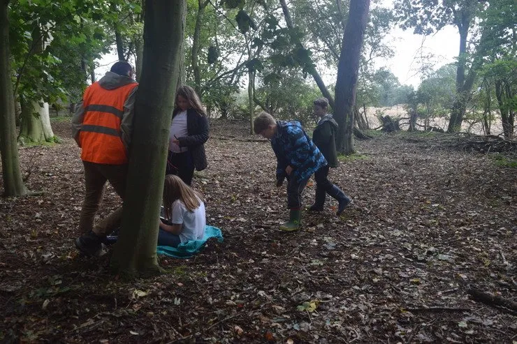 Gallery 6 - image 14