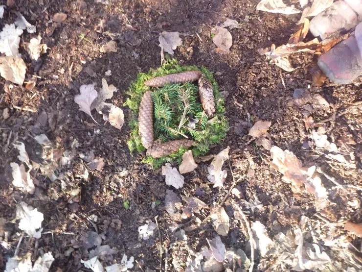 Gallery 7 - image 19