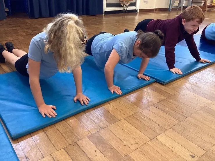 Year 4 - image 16 Year 4 - image 16