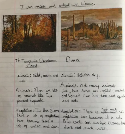 Gallery - created at 2024-09-23 10:09:52 - image 2 Gallery - created at 2024-09-23 10:09:52 - image 2