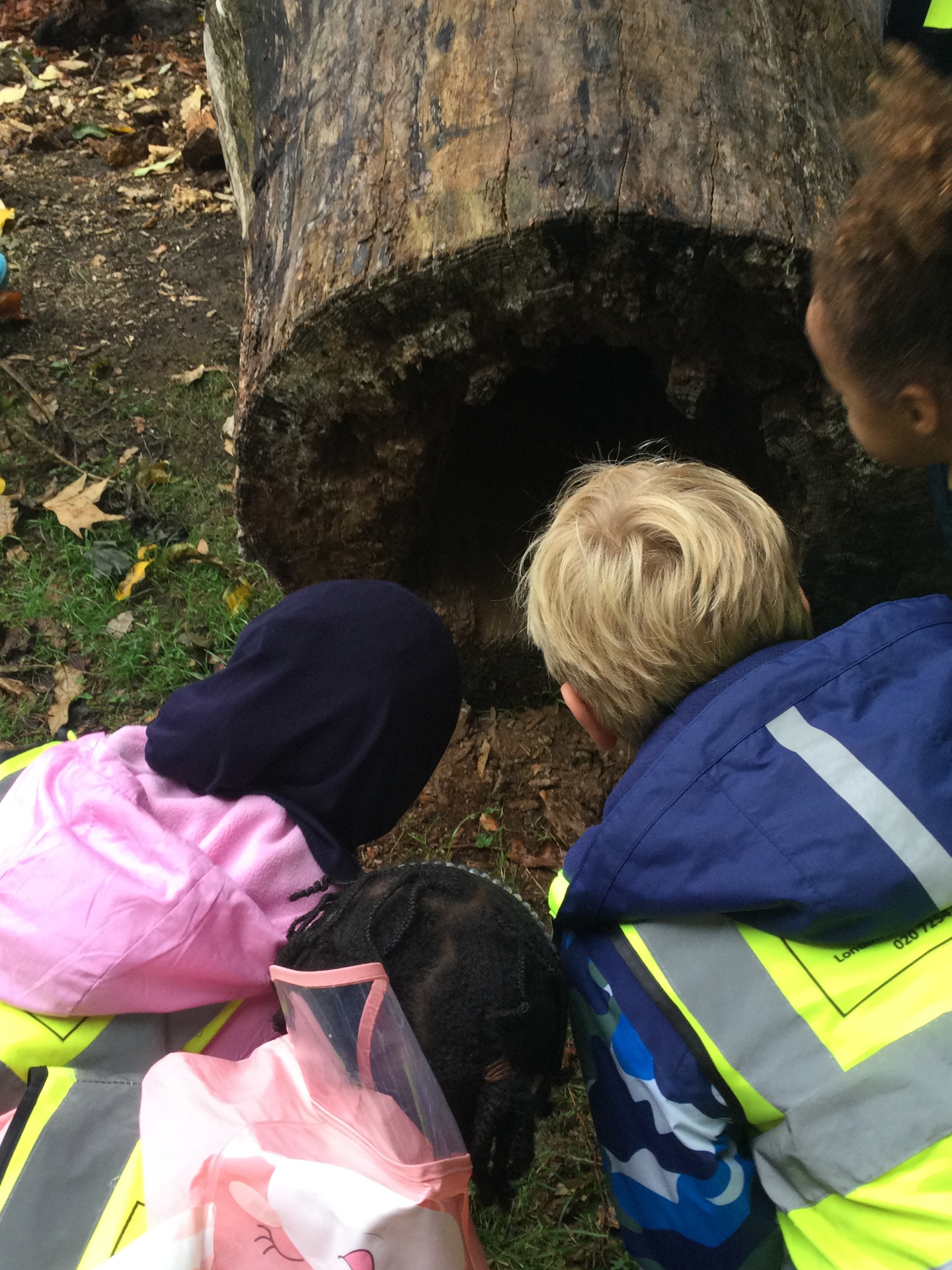 Scientists in London Fields park!