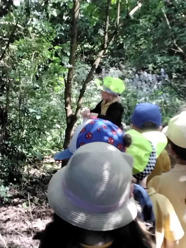 Nursery - We're going on a tiger hunt - image 3 Nursery - We're going on a tiger hunt - image 3